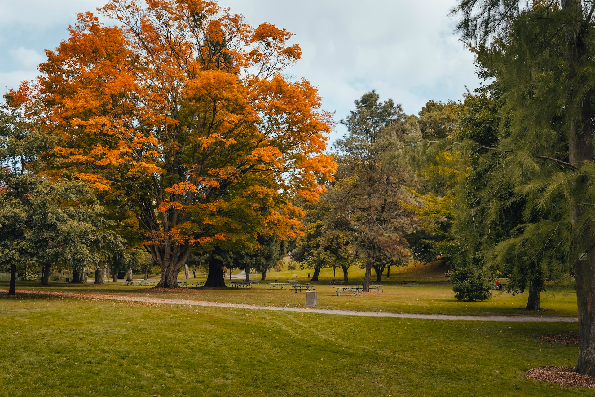 Illustration : Les avantages de vivre à Saint-Jérôme, pour un meilleur cadre de vie