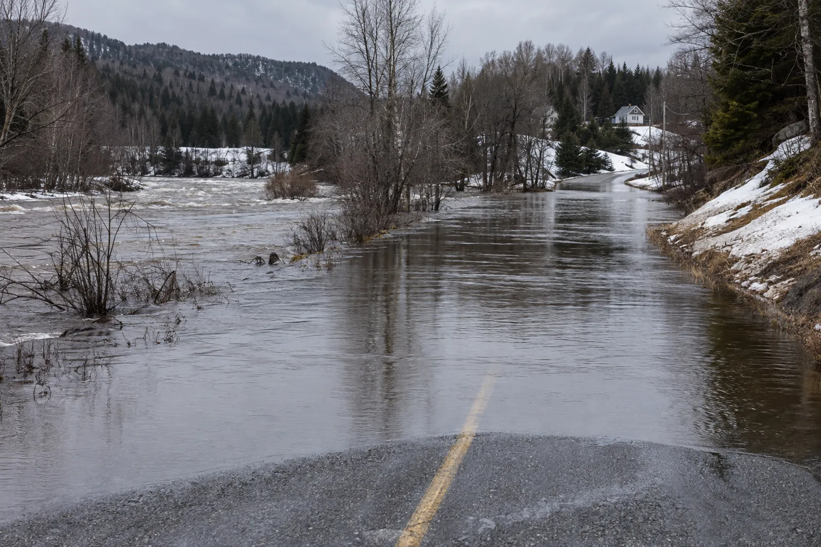 Road flooded in spring along an overflowing river