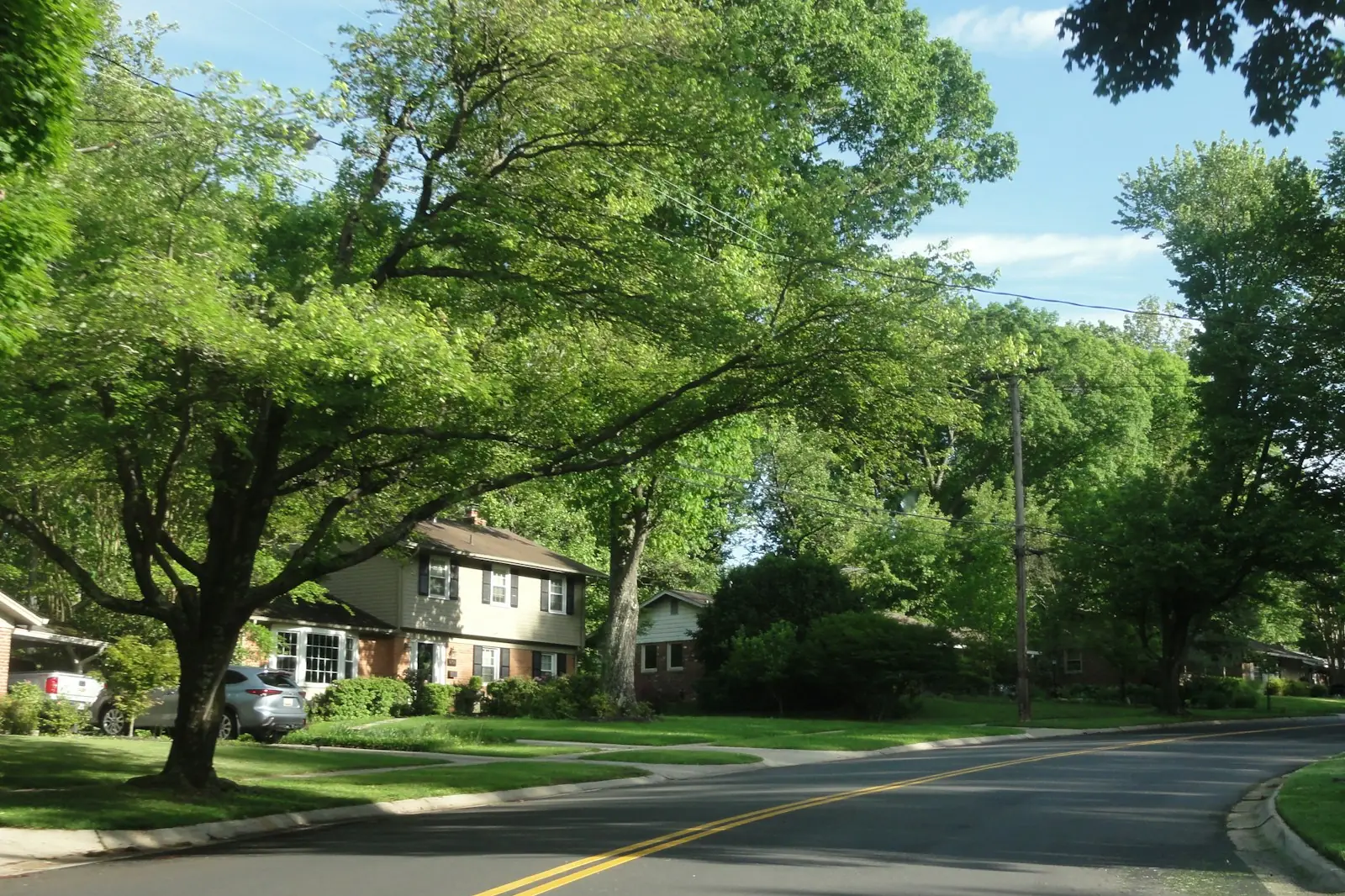 Residential street lined with mature trees and single-family homes, typical of a family neighbourhood in Saint-Jérôme